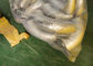 রেফ্রিজারেশন eldালাই স্টেইনলেস স্টিল flanges এবং ফিটিং আকার 1 / 2NB - 48NB